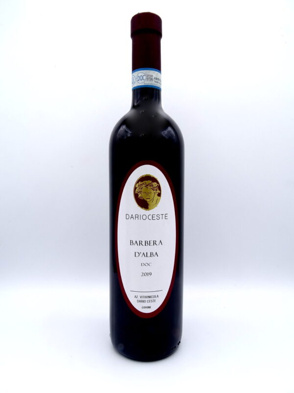 Barbera d'Alba Dario Ceste 2019