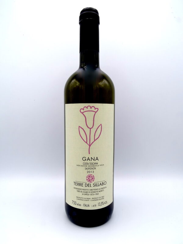 Gana Terre del Sillabo 2013