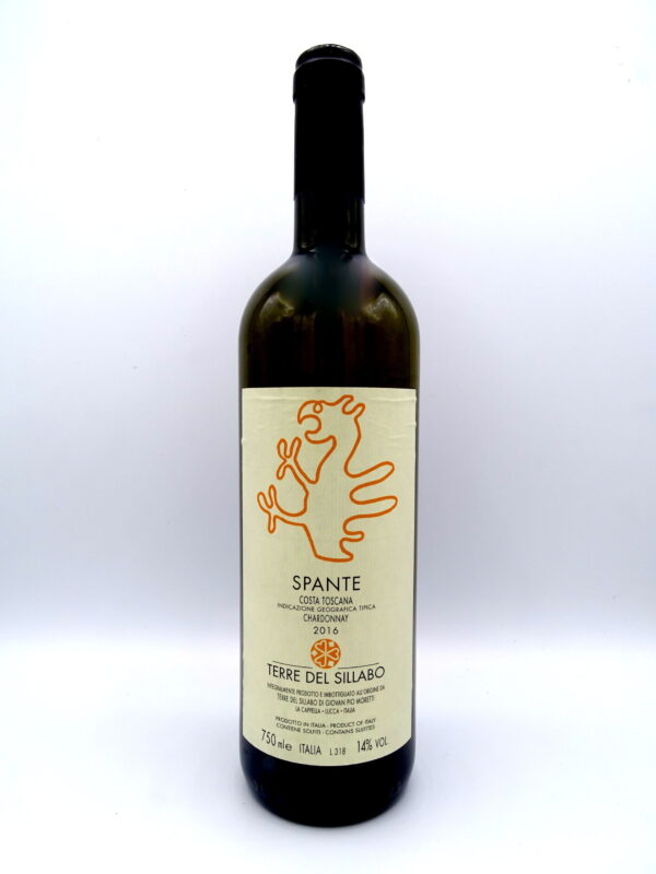 Spante Terre del Sillabo 2016