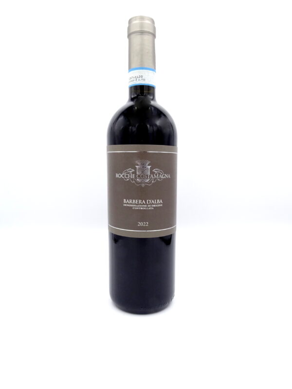 Barbera d'Alba Rocche Costamagna 2022