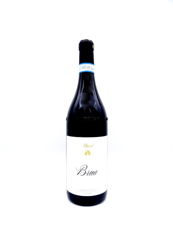 Barbera d'Alba Supeiore Brua Musso 2022